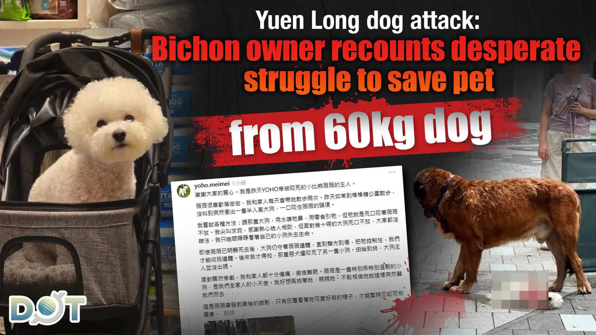 Yuen Long dog attack: Bichon owner recounts desperate struggle to save pet from 60kg dog