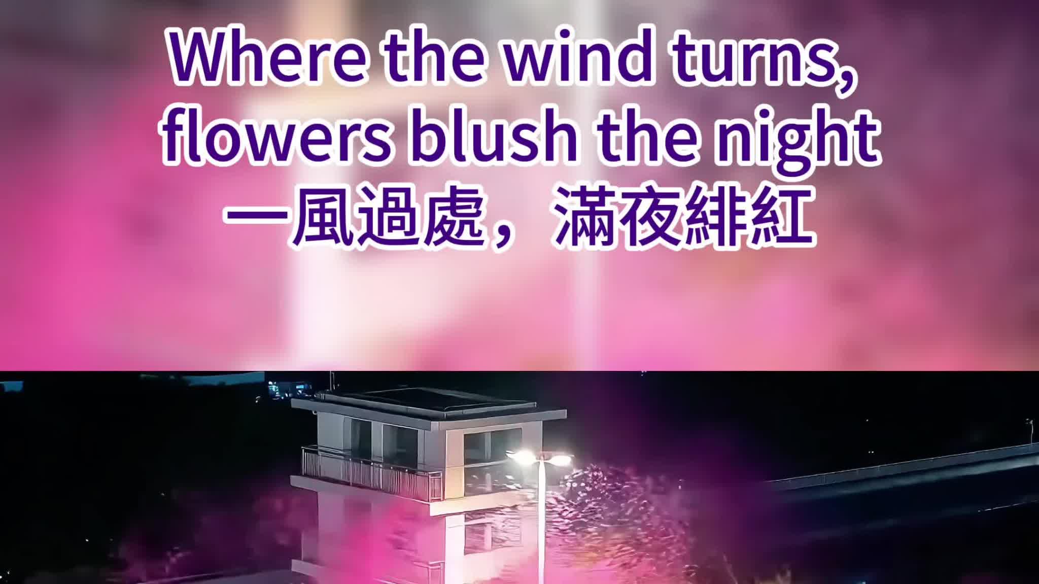 OMG | Where the wind turns, flowers blush the night
