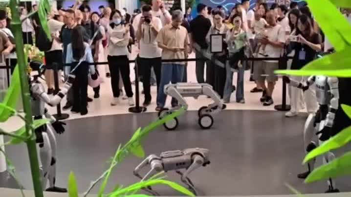 Watch This | Robots showcase impressive athleticism at 2026 World Robot Conference
