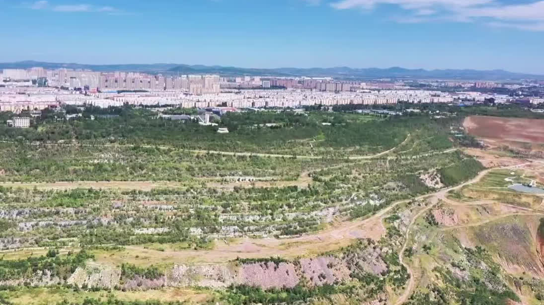 Watch This | When a coal city goes green: New life takes root in an old mine