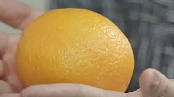 Watch This | What does an Egyptian orange have to do with China-Egypt friendship?