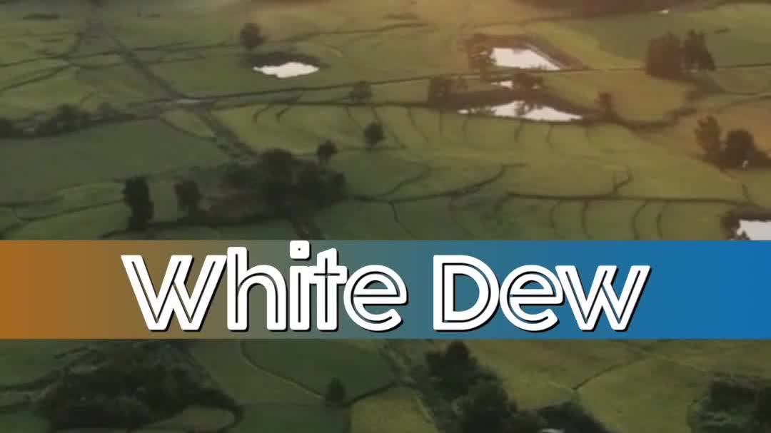 Watch This | White Dew: When autumn turns crisp