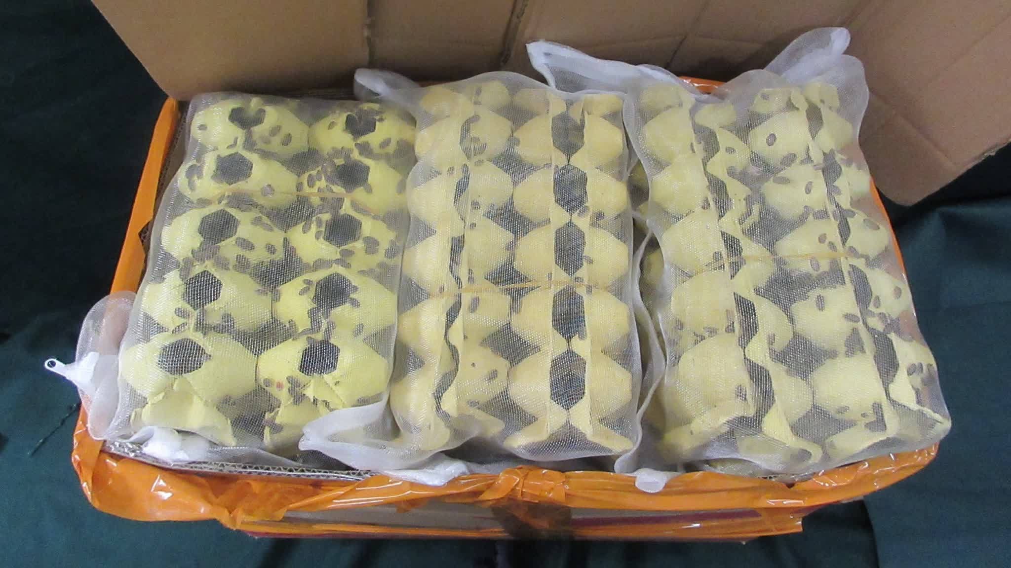HK Customs detects suspected cases of illegally importing live plant pests