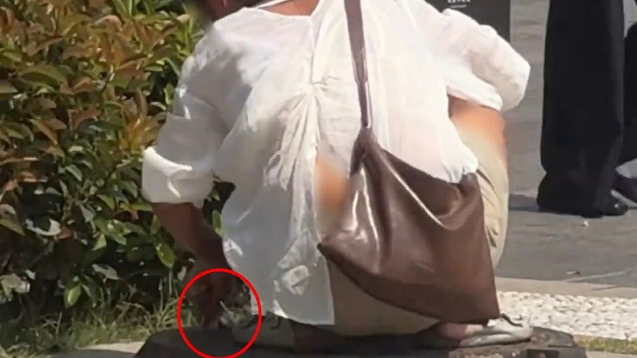 'Virus-spread' scare at Xi'an's Giant Wild Goose Pagoda: Woman seen hiding tubes; Authorities say they contained sewing needles, samples sent for test