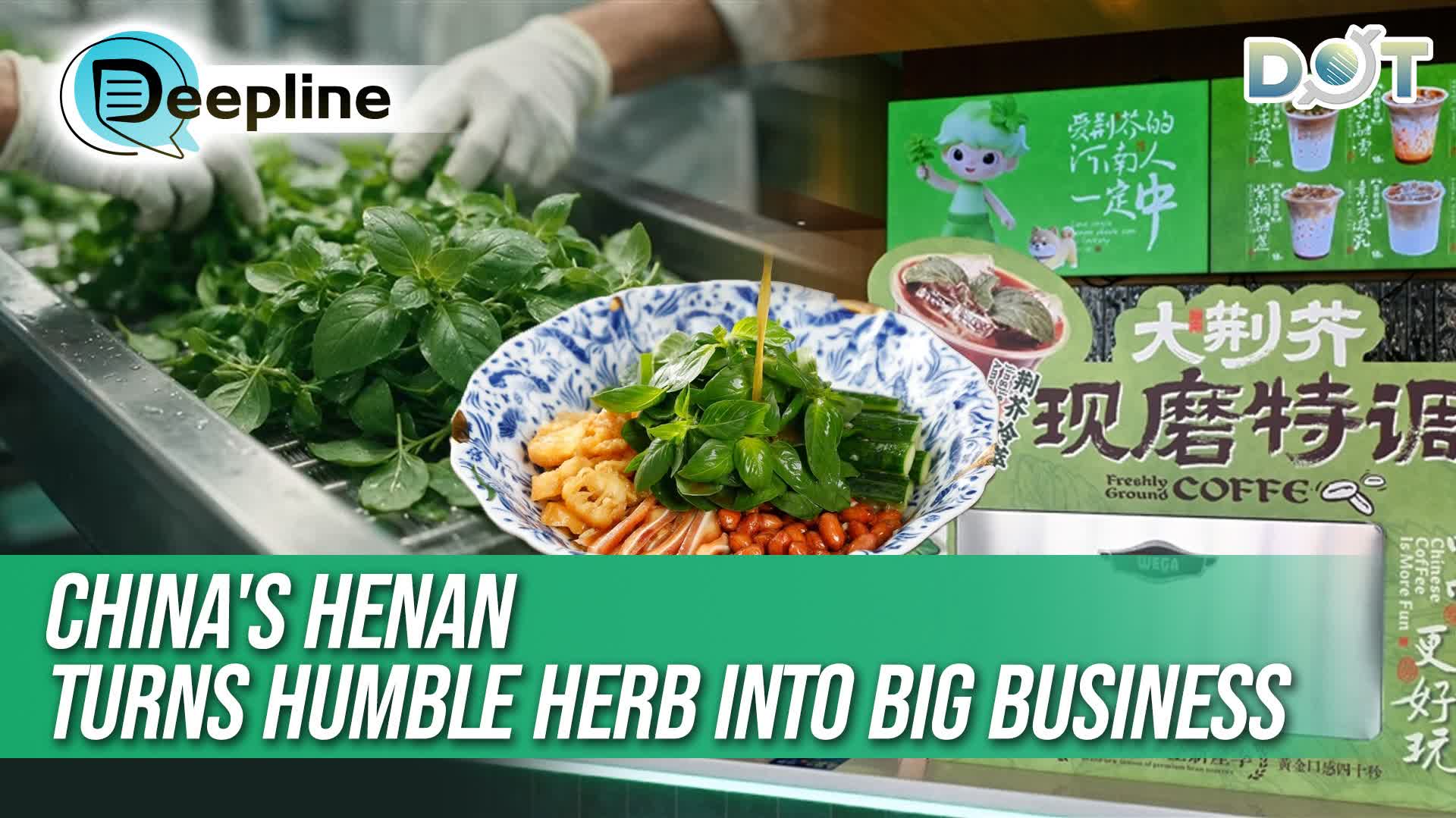 Deepline | China's Henan turns humble herb into big business