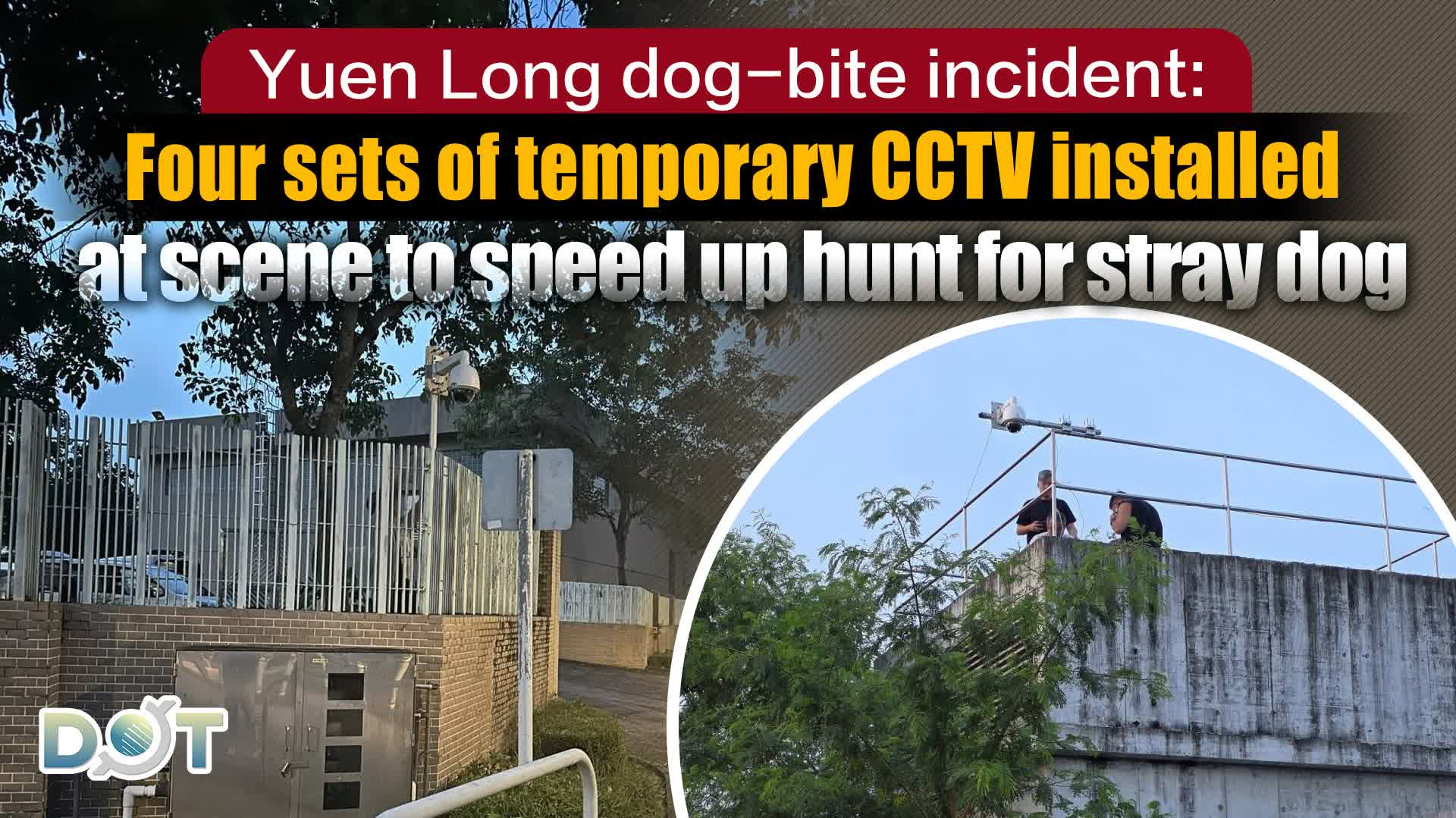 Yuen Long dog‑bite incident: Four sets of temporary CCTV installed at scene to speed up hunt for stray dog