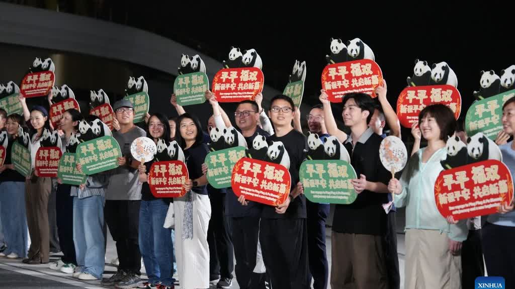Two giant pandas set off from Chengdu for 10-year stay at Zoo Atlanta