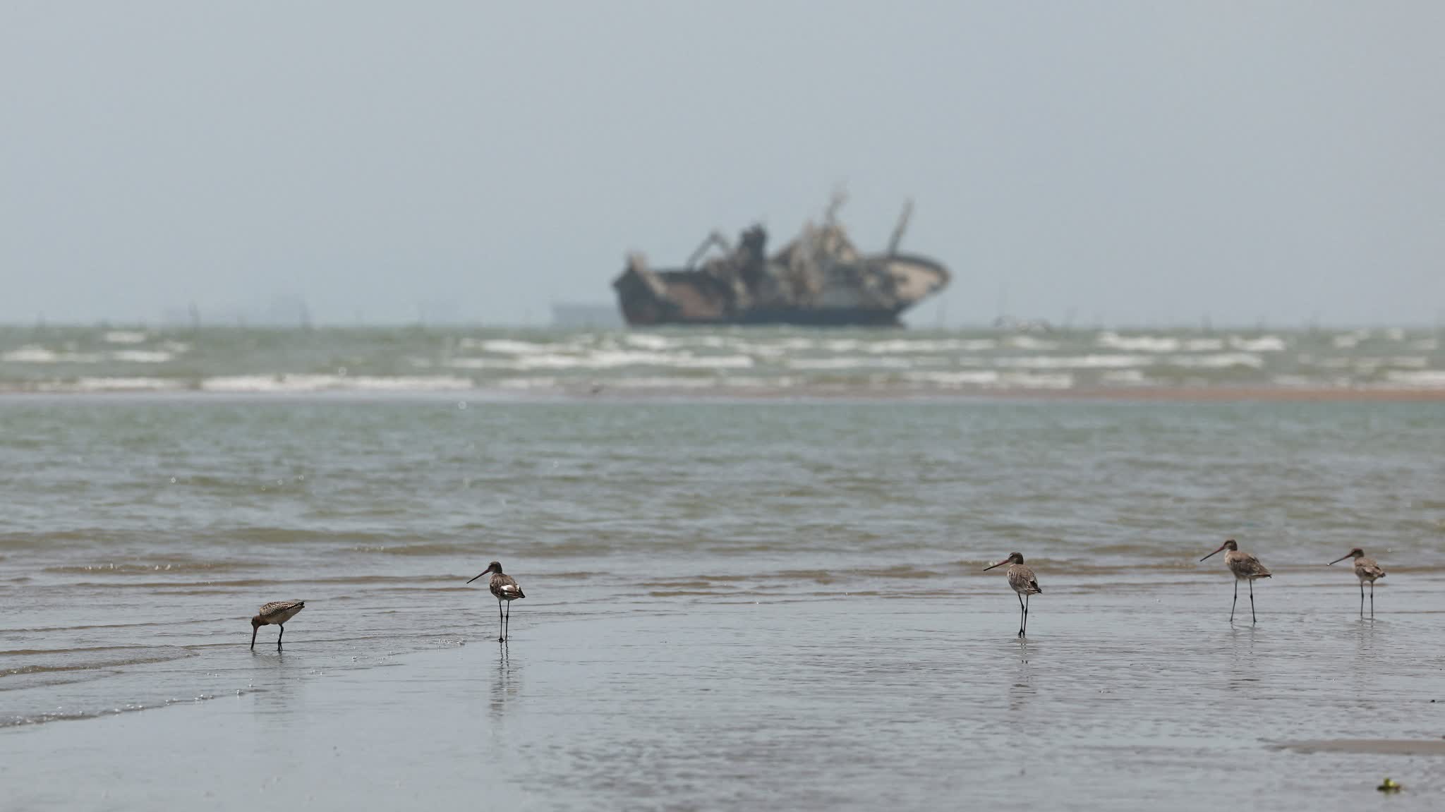 Iran says reviewing US views, conditions for reopening Strait of Hormuz unchanged