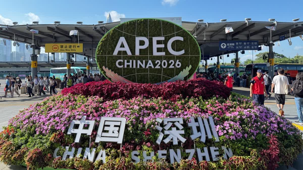 Watch This | Why Australian business leaders upbeat about APEC 'China Year'