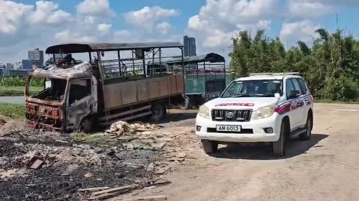 Four dogs found dead in suspected poisoning case in HK's San Tin