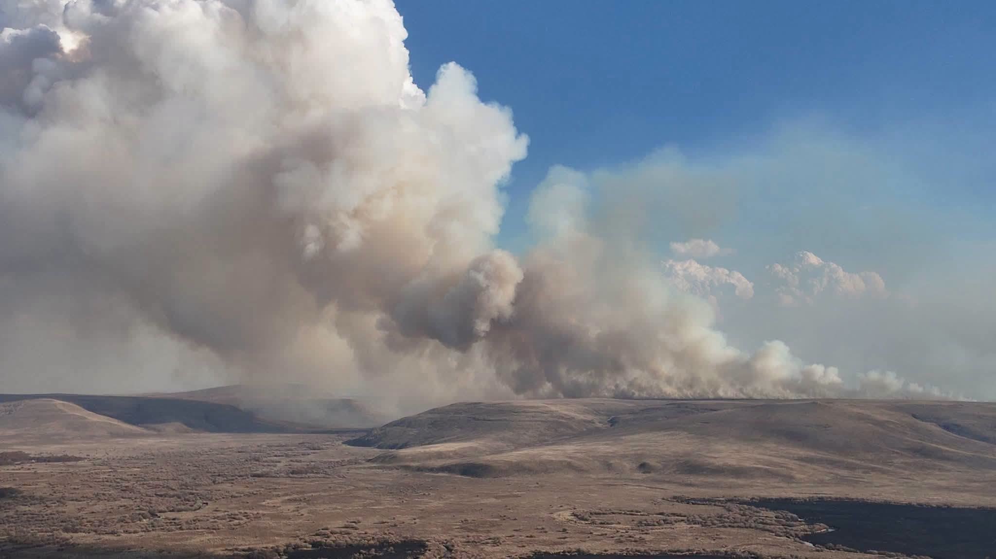 Japanese company admits subsidiary activities caused grassland fire on China-Mongolia border