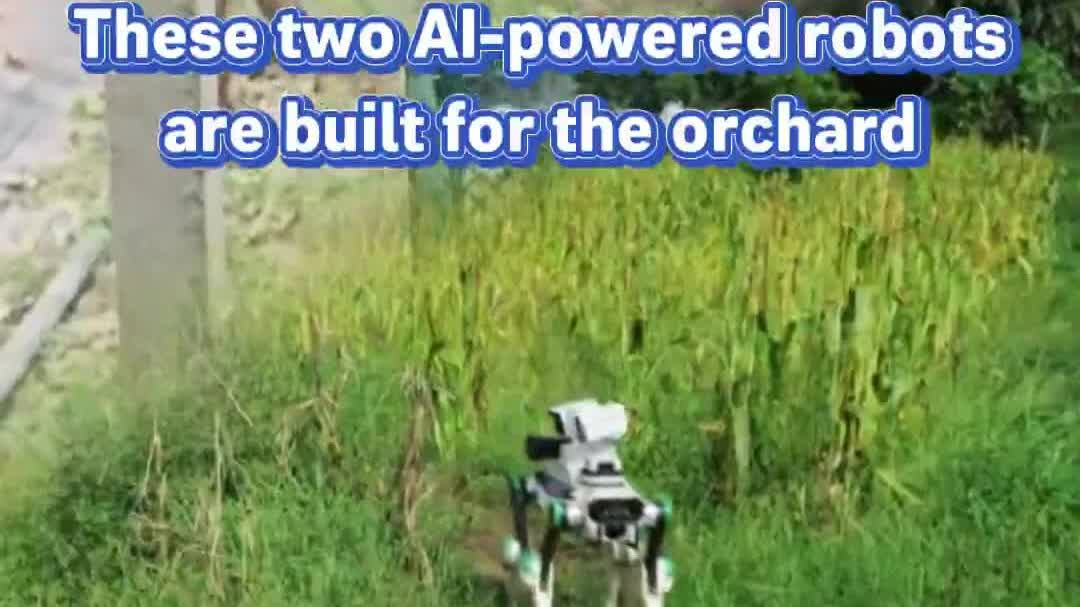 OMG | Meet China's AI fruit picker and robot farm dog