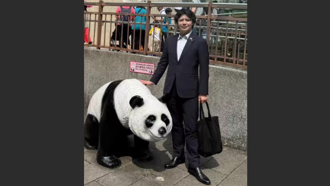 最後兩隻旅日大熊貓即將回國　日本議員盯上台灣的大熊貓